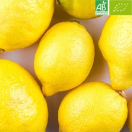 Sorbet Artisanal Citron Jaune BIO