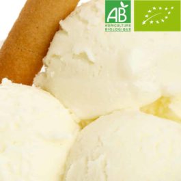 Glace Artisanale Yaourt BIO