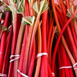 Sorbet Artisanal Rhubarbe