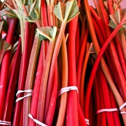 Sorbet Artisanal Rhubarbe