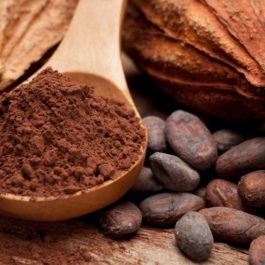 Sorbet Artisanal Cacao
