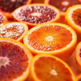 Sorbet Artisanal Orange sanguine